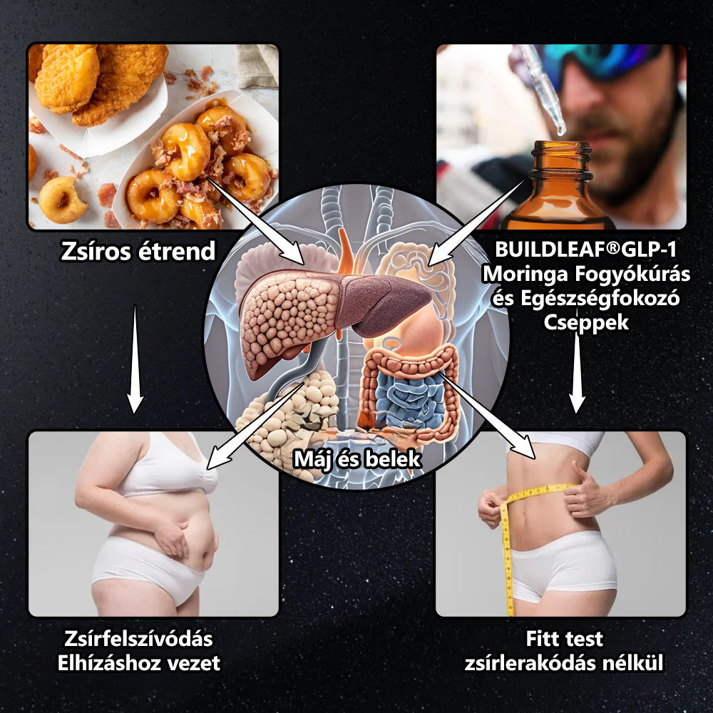 A Magyar Orvosi Kamara hivatalos ajánlásával 💥 | Klymoza® GLP-1 Karcsúsító és Energizáló Gyógynövényes Cseppek